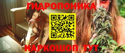 крисы Изобильный