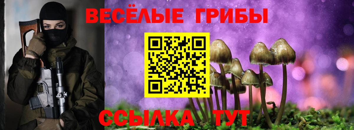 Псилоцибиновые грибы Magic Shrooms  Галлюциногенные грибы MAGIC MUSHROOMS  где продают наркотики  Вход с VPN  Кушва 